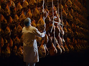 Završena gradnja pogona za preradu mesa i mesnih prerađevina Pivac II